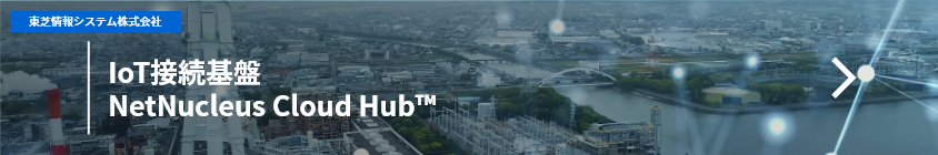 Netnucleus cloud hub