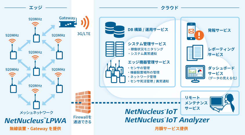 Netnucleus schematics